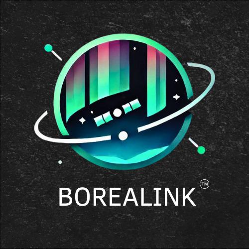 Logo Borealink Rastreo Satelital